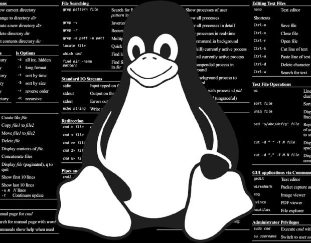 Cách xử lý file log khổng lồ trong Linux