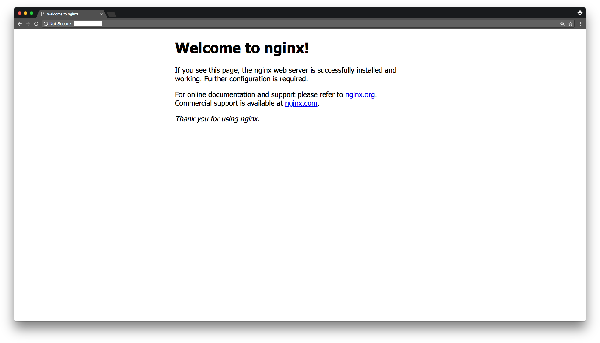 Веб сервер nginx. Welcome to nginx. Установка nginx. Ответ nginx.